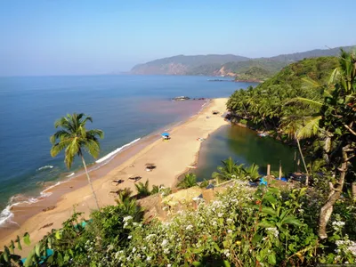 Пляж Кола Гоа: Фотографии в формате Full HD