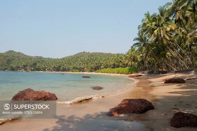 Пляж Кола Гоа: красота природы в фотографиях