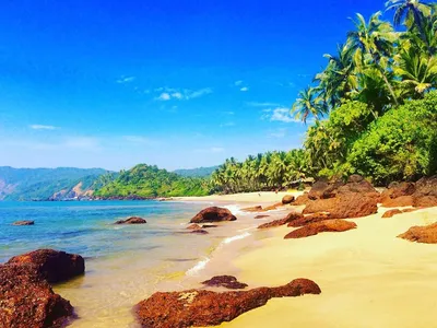 Пляж Кола Гоа на фото: воплощение романтики и спокойствия
