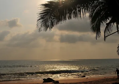 Пляж Кола Гоа: фотографии, которые оставят вас восхищенными