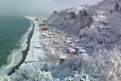 Фото пляжа Квариати с зелеными пальмами