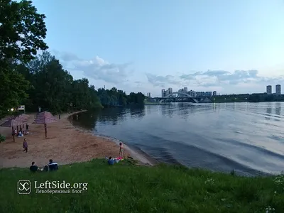 Фотосъемка на Пляже Левобережном: встреча с природой