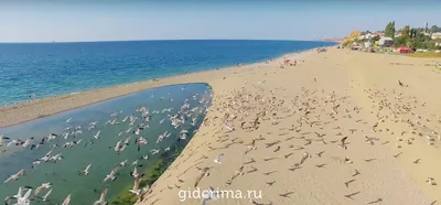 Фото Пляжа Любимовка в Севастополе: скачать бесплатно в хорошем качестве