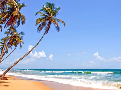 Скачать бесплатно фото Пляжа Маджорда Гоа