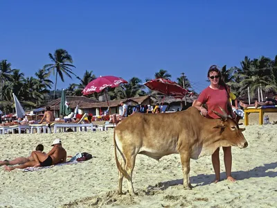 Фото пляжа Маджорда Гоа с бесплатной загрузкой