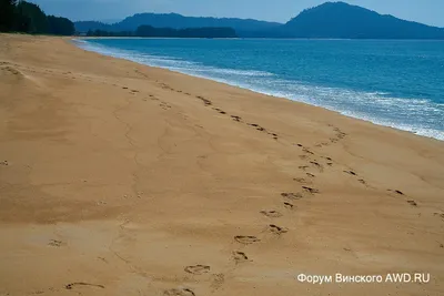 Фото Пляжа Май Кхао: выберите размер изображения