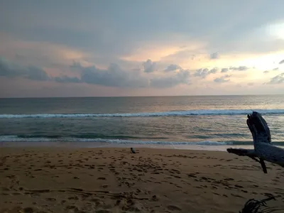 Пляж май кхао: место, где можно расслабиться и насладиться природой