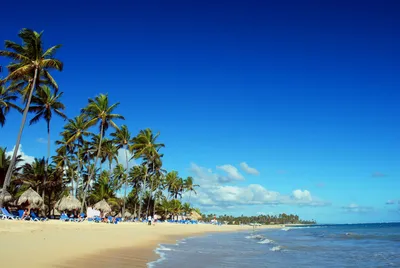 Изображения Пляжа Макао Доминикана для скачивания