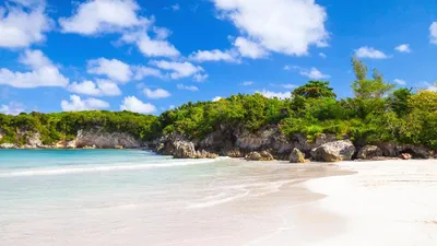 Фото Пляжа Макао Доминикана в Full HD разрешении