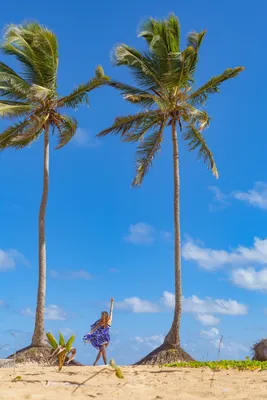 Искупайтесь в роскошных волнах Пляжа Макао в Доминикане