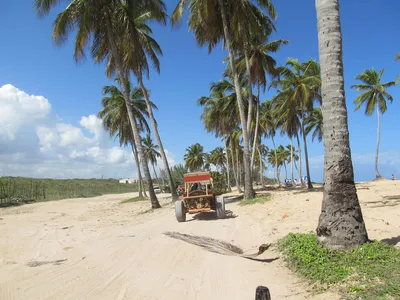 Фото Пляжа Макао в Доминикане: наслаждайтесь красотой природы