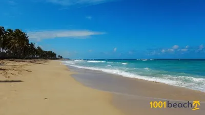 Пляж Макао в Доминикане: фотографии, которые захватывают взгляд