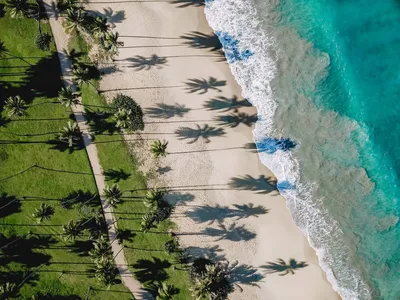 Пляж Макао в Доминикане: фотографии, которые погружают в атмосферу отдыха