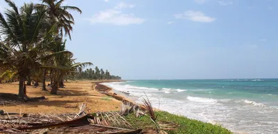 Фото Пляжа Макао Доминикана в HD качестве