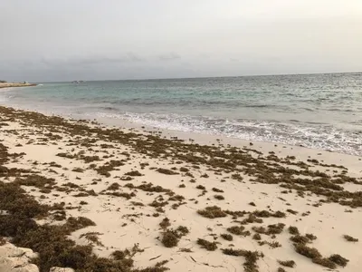 Изображения Пляжа Макао Доминикана в Full HD