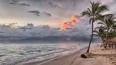 Арт-фото Пляжа Макао Доминикана в хорошем качестве