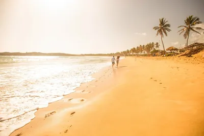 Фотки Пляжа Макао Доминикана в высоком разрешении