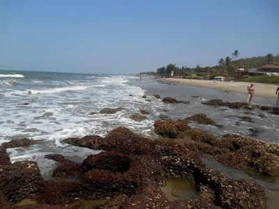 Пляж Мандрем Гоа: фото в JPG, PNG, WebP