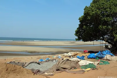 Фотографии Пляжа Мандрем Гоа: море впечатлений и эмоций