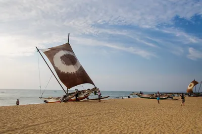 Пляж Негомбо: фотографии в высоком разрешении