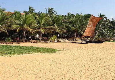 Пляж Негомбо: качественные фотографии для скачивания