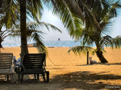 Пляж Негомбо: качественные фотографии для вашего просмотра