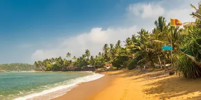 Уникальные изображения Пляжа Негомбо в HD качестве