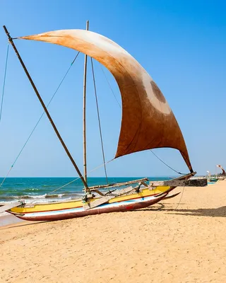 Фото Пляжа Негомбо: насладитесь красотой природы в HD