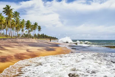 Пляж Негомбо: качественные фотографии для скачивания бесплатно