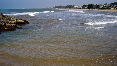 Фото Пляжа Негомбо: полное HD качество для вашего просмотра