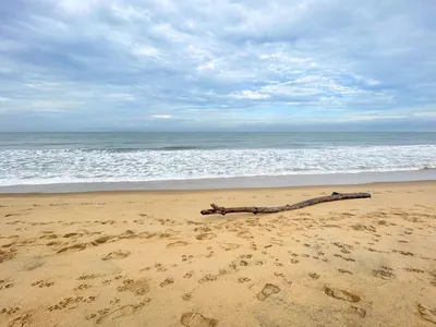 Пляж Негомбо: фотографии, захватывающие дух
