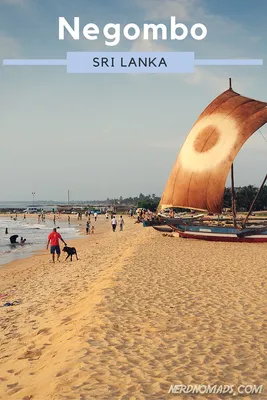 Фотосессия на Пляже Негомбо: незабываемые моменты