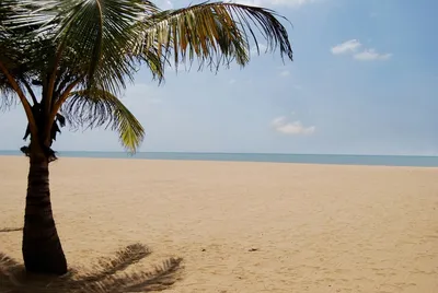 Пляж Негомбо: красота, которую стоит запечатлеть