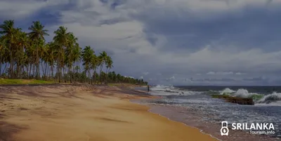 Фотографии Пляжа Негомбо: вдохновляющая красота