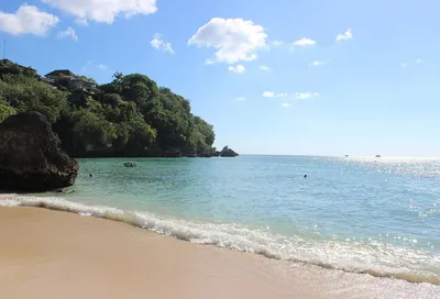 Фото Пляж паданг паданг бали - фотографии с пальмами и белым песком