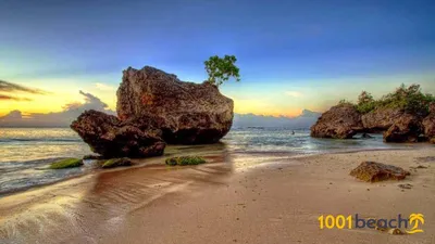 Фотографии Пляжа Паданг Паданг Бали: кристально чистая вода