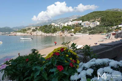 Фотографии Пляжа Пржно Черногория в формате JPG, PNG, WebP