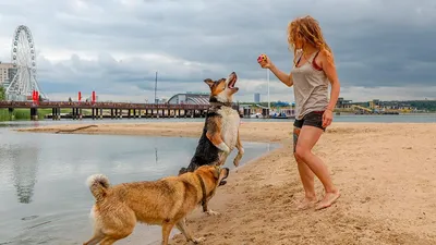 4K фотографии пляжа Ривьера Казань: бесплатное скачивание