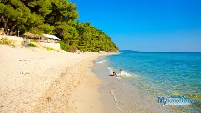 Фотографии Пляжа Сани Халкидики: идеальное место для отдыха