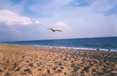 Фотки пляжа Солярис в Евпатории в формате 4K