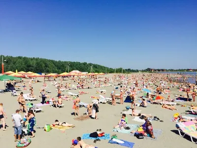 Фото пляжа солнечного Барнаула в HD качестве