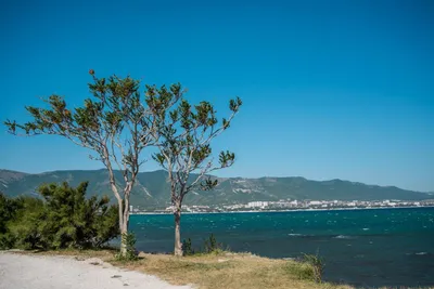 Изображения пляжа Тонкий мыс в Геленджике: HD, Full HD, 4K