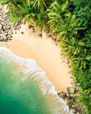 Фотографии, которые позволяют увидеть Пляж унаватуна во всей его красе