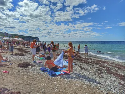 HD изображение пляжа в дивноморском