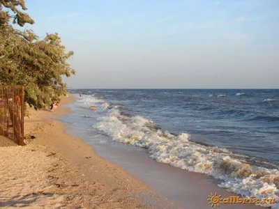 Приготовьтесь к виртуальному путешествию на пляж в Голубицкой с помощью фотографий