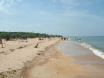 20) Фото пляжа в Голубицкой: лучшие фотографии 2024