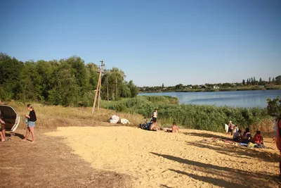 Откройте для себя прекрасные виды пляжа в Новомихайловке на фото.