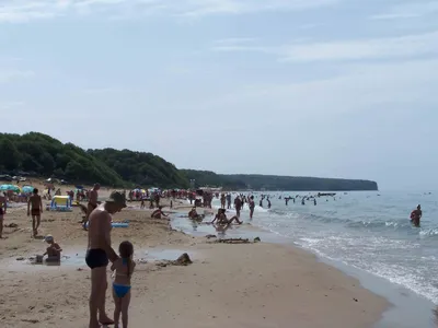 Приглашаем вас на виртуальную прогулку по живописному пляжу в Новомихайловке.