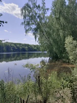 Фотографии пляжа в Строгино: место, где можно расслабиться и насладиться природой