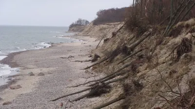 Фото пляжа в светлогорске в хорошем качестве